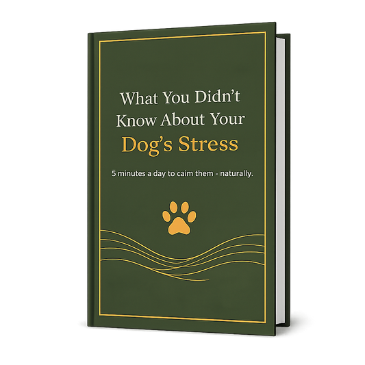 Ebook Your Dog's Stress
